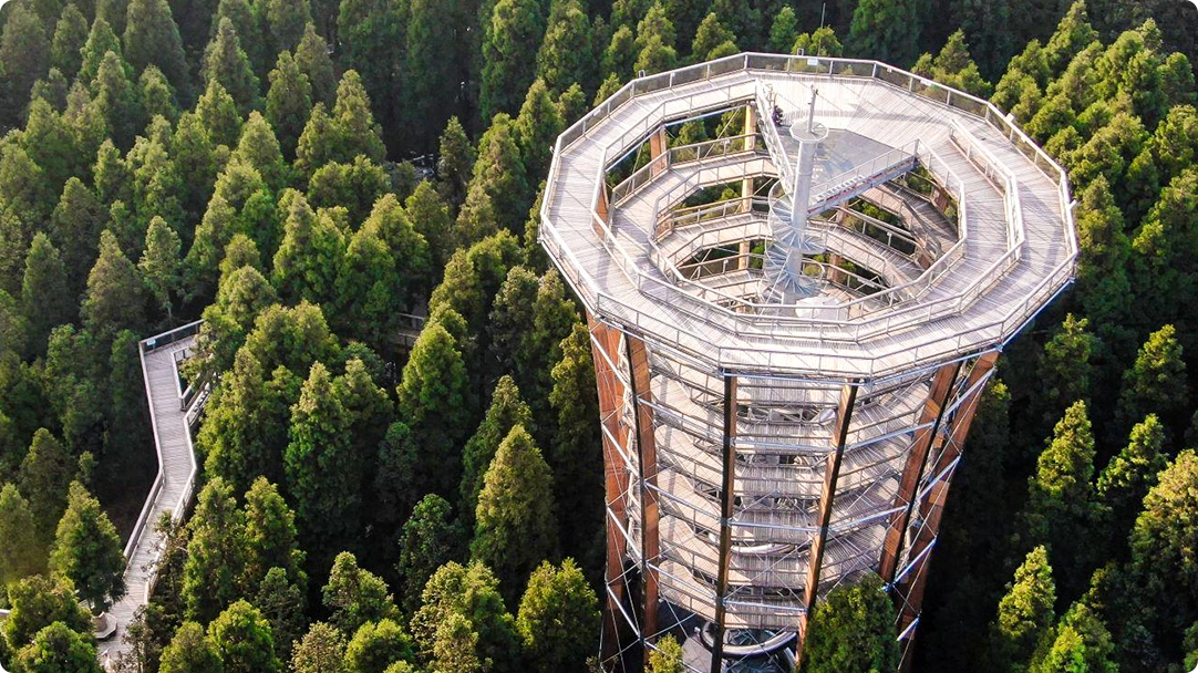 Montagna Xiannv - Passeggiata tra gli alberi, Chongqing
